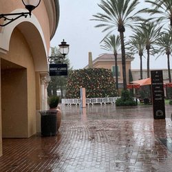 Location near the giant Christmas tree