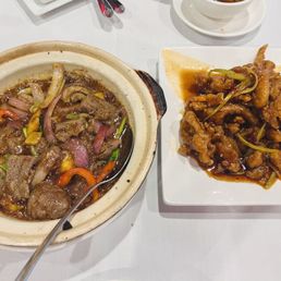 Beef Stew Casserole (left)/Mandarin Chicken (right). Dumplings and spring roll- not pictured because they were eaten too fast! Beef Stew Casserole (left)/Mandarin Chicken (right). Dumplings and spring roll- not pictured because they were eaten too fast!