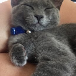Mimi Le Mew Mimi Le Mew