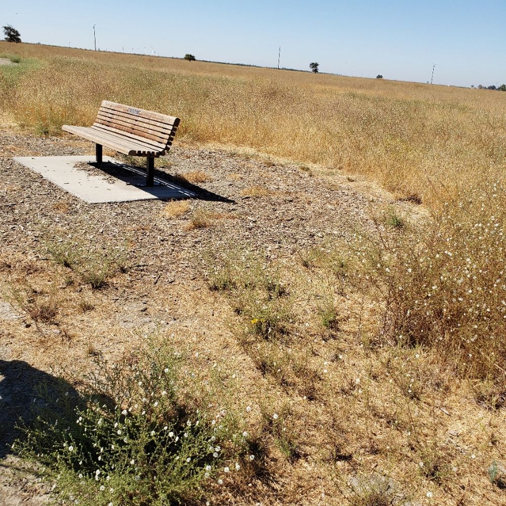 Grasslands Regional Park - One of the benches found throughout the trails - Parks Near Me - Davis, California Grasslands Regional Park - One of the benches found throughout the trails - Parks Near Me - Davis, California