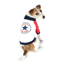 Shop around the dog