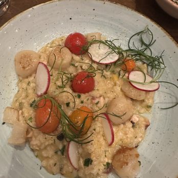 Convivo Restaurant and Bar - Risotto with scallops - Bars Near Me - Santa Barbara, California