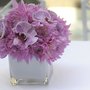 Photo of Roman Sacke Floral Design