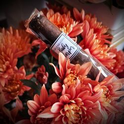 Shade Cigar Cafe