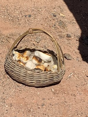 El Rancho de las Golondrinas by null