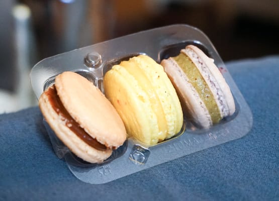 Boston Bonbon by null