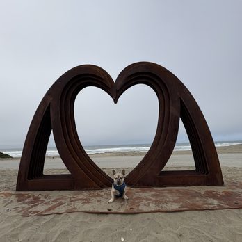 Sunset Dunes - Beach love - Parks Near Me - San Francisco, California Sunset Dunes - Beach love - Parks Near Me - San Francisco, California