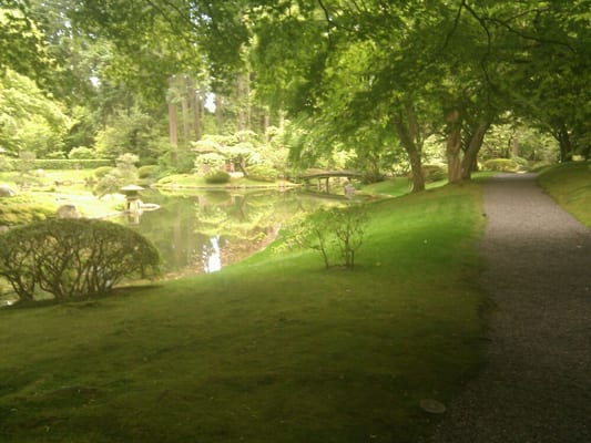 Nitobe Memorial Garden by null