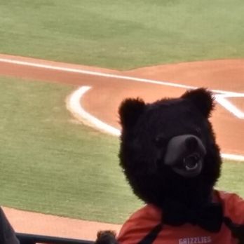 Hickory Crawdads - Professional Sports Teams Near Me - Hickory, North Carolina
