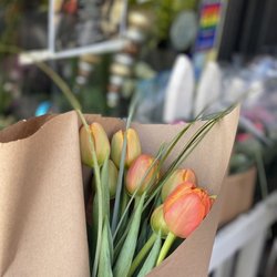 Flowers On 15th - Double Tulips