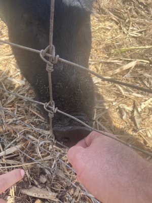 La Kahea Community Farm by null