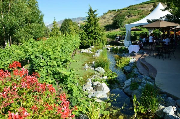 Karma Vineyards by null