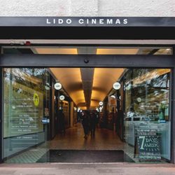 Brow Theory Hawthorn