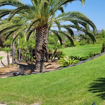 Vicente Landscaping General Construction - Thankful - Landscaping Near Me Vicente Landscaping General Construction - Thankful - Landscaping Near Me