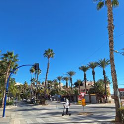 Ciudad de Torrevieja