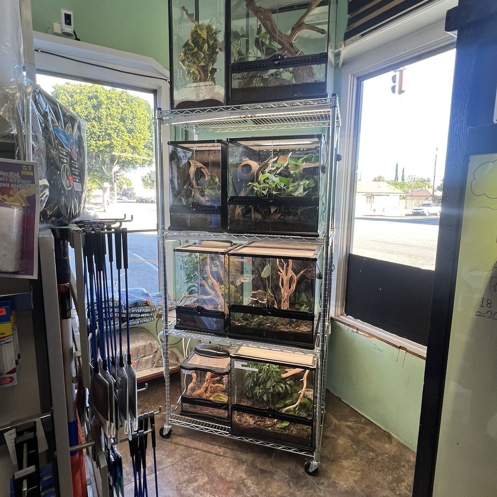Burbank Scales N Tails - Pet Stores Near Me - Burbank, California Burbank Scales N Tails - Pet Stores Near Me - Burbank, California