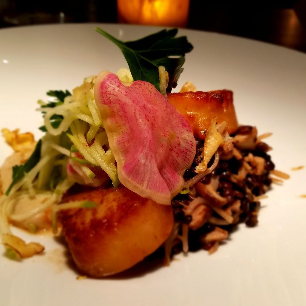 Gunther & Co - Scallops - Seafood Near Me - Baltimore, Maryland Gunther & Co - Scallops - Seafood Near Me - Baltimore, Maryland