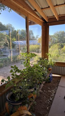 Bike In Coffee by null