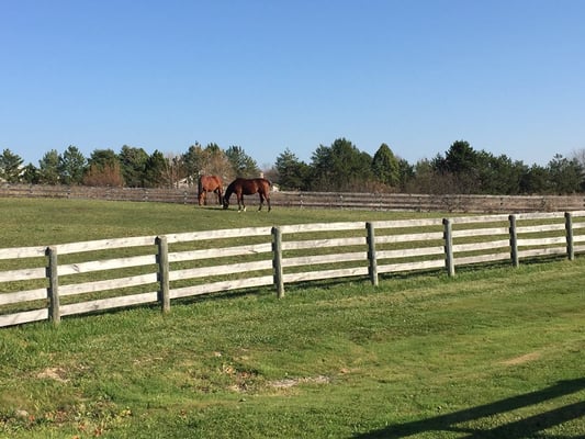 COUNTRY RIDGE STABLES LIMITED - Updated May 2026 - 27060 N Owens Rd ...