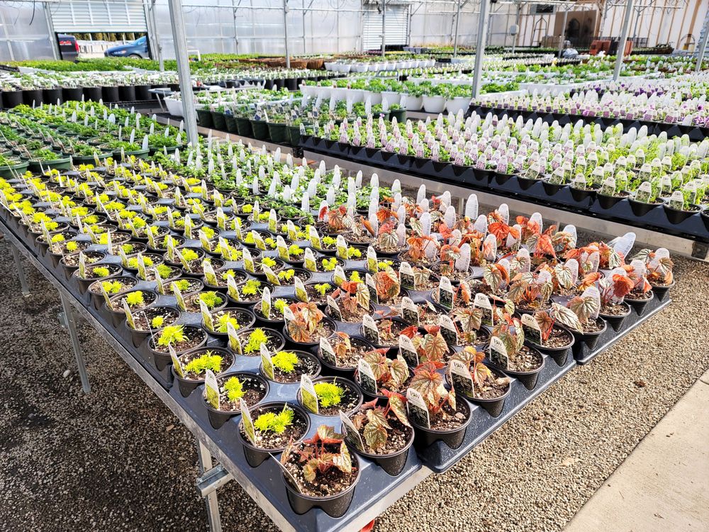 GINGER VALLEY Updated September 2024 30 Photos 15065 State Rd 23