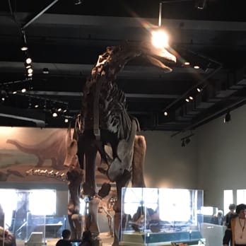 Field Museum - Museums Near Me - Chicago, Illinois Field Museum - Museums Near Me - Chicago, Illinois