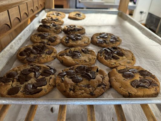 Door County Creamery by null