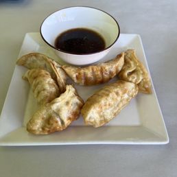 Chicken Dumplings