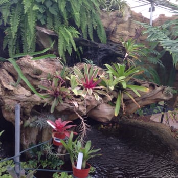 Rainforest Flora - Nurseries & Gardening Near Me - Torrance, California Rainforest Flora - Nurseries & Gardening Near Me - Torrance, California
