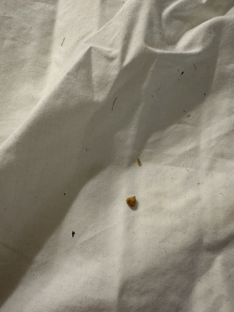 Hampton Inn Havelock