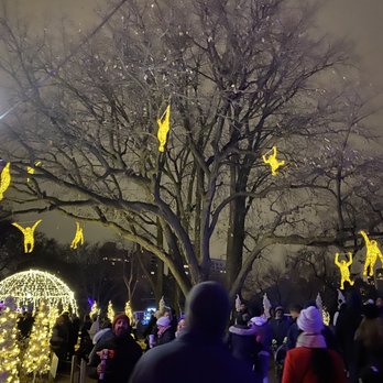 Zoolights - Local Flavor Near Me - Chicago, Illinois