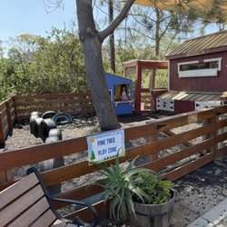 Play area