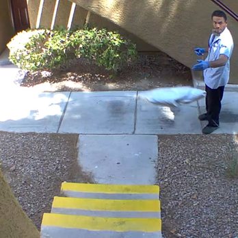 US Post Office - USPS delivery man throwing my package - Post Offices Near Me - Las Vegas, Nevada