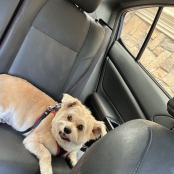 Well Groomed Pets - Pet Groomers Near Me - Las Vegas, Nevada Well Groomed Pets - Pet Groomers Near Me - Las Vegas, Nevada