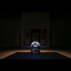 Tiger Lee's Martial Arts - Tiger Lee's Martial Arts Master Lee