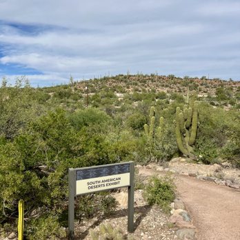 Boyce Thompson Arboretum - Entering the South American Desert Exhibit - Botanical Gardens Near Me - Superior, Arizona