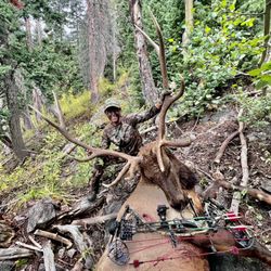 Buffalo Bill's Bar & Grill - Public land elk hunting