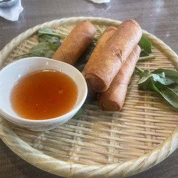 Saucy's Thai & Pho - Plano - Crispy Spring Rolls - Thai Near Me - Plano, Texas Saucy's Thai & Pho - Plano - Crispy Spring Rolls - Thai Near Me - Plano, Texas