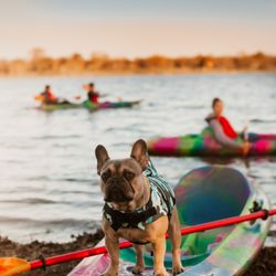 Daisy Rentals