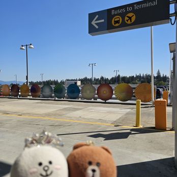 SeaTac Rental Car Facility - Catching the free bus to the terminal - Car Rental Near Me - SeaTac, Washington SeaTac Rental Car Facility - Catching the free bus to the terminal - Car Rental Near Me - SeaTac, Washington