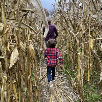 Tranquillity Farms - Cornmaze - Farmers Market Near Me - Andover, New Jersey