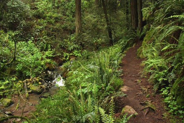 Matt Davis Trail Head by null