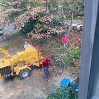 H TREE EXPERTS - Tree Services Near Me - Auburn, Georgia H TREE EXPERTS - Tree Services Near Me - Auburn, Georgia