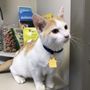 Photo of Woodlawn Veterinary Hospital