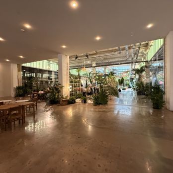 Eden Plant - Entrance - Nurseries & Gardening Near Me - Houston, Texas