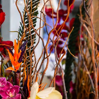 Green Designs - a variety of flowers in a vase - Florists Near Me - Roanoke, Virginia Green Designs - a variety of flowers in a vase - Florists Near Me - Roanoke, Virginia