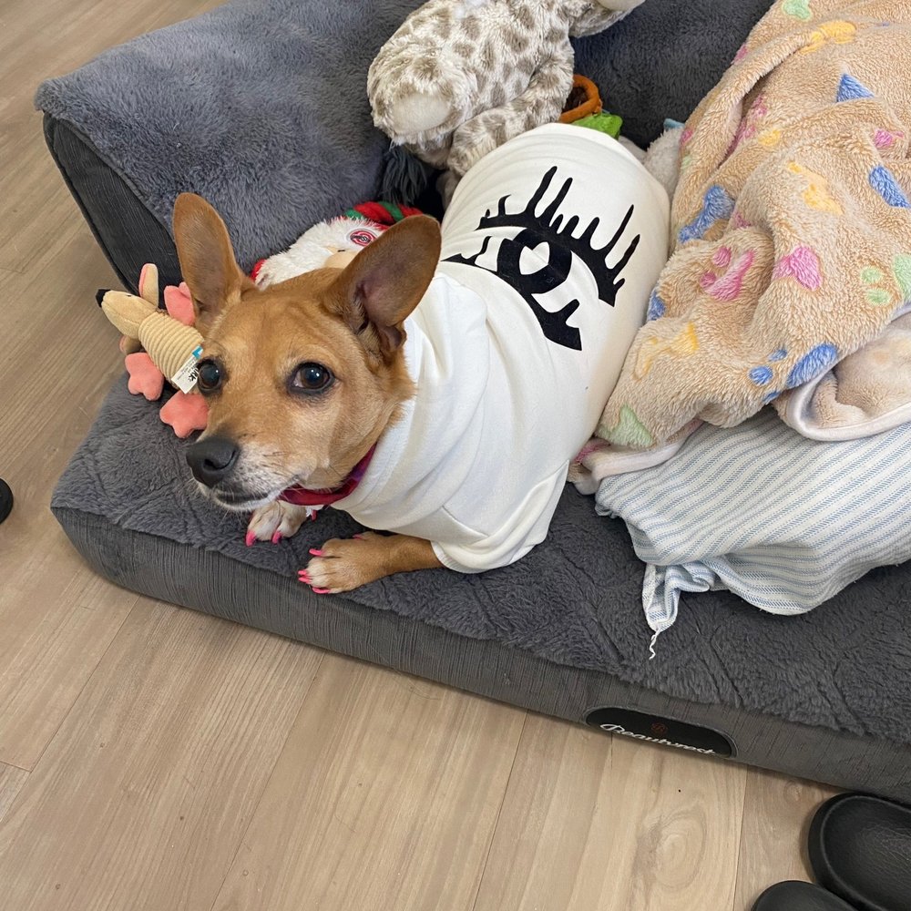Bitches N Bubbles - Pet Groomers Near Me - Long Beach, California