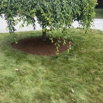 Apex Grounds & Lawn - Landscaping Near Me Apex Grounds & Lawn - Landscaping Near Me