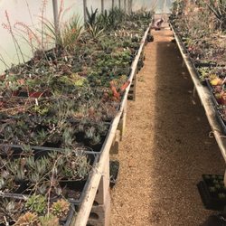 Fred Drummond Nursery