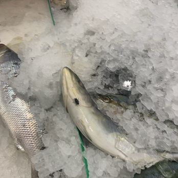 99 Ranch Market - This is the fish with the fly. - Seafood Markets Near Me - Irvine, California