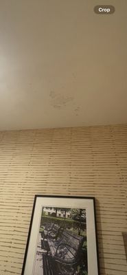 Residence Inn by Marriott Cincinnati Downtown/The Phelps by null